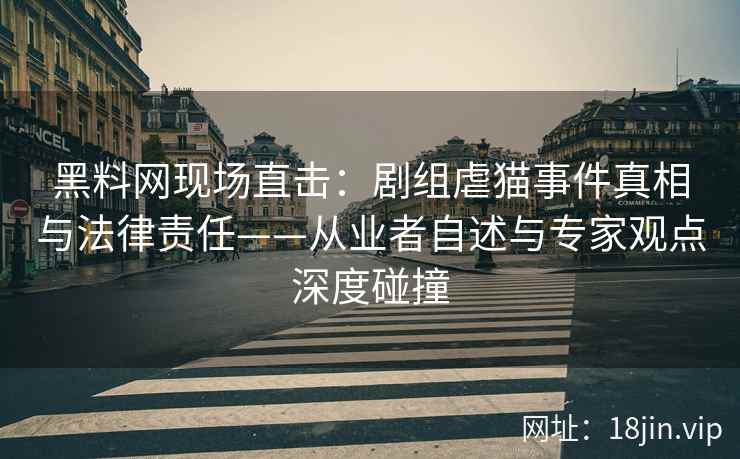 黑料网现场直击：剧组虐猫事件真相与法律责任——从业者自述与专家观点深度碰撞  第2张
