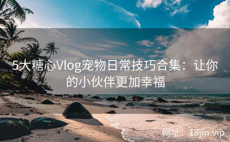 5大糖心Vlog宠物日常技巧合集：让你的小伙伴更加幸福