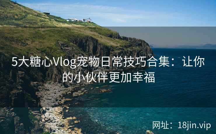 5大糖心Vlog宠物日常技巧合集：让你的小伙伴更加幸福