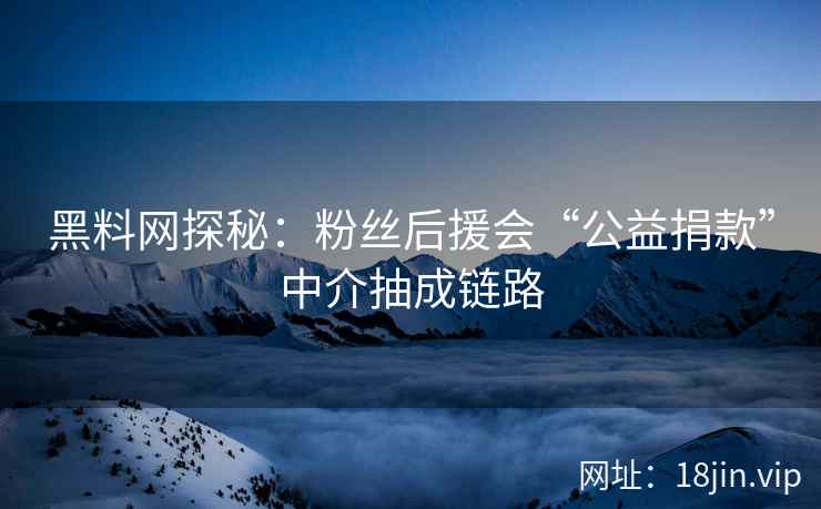 黑料网探秘：粉丝后援会“公益捐款”中介抽成链路