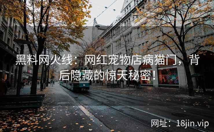 黑料网火线：网红宠物店病猫门，背后隐藏的惊天秘密！