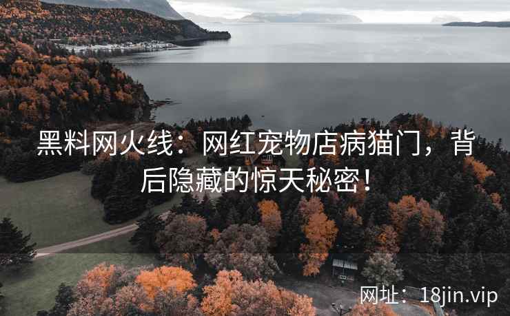 黑料网火线：网红宠物店病猫门，背后隐藏的惊天秘密！