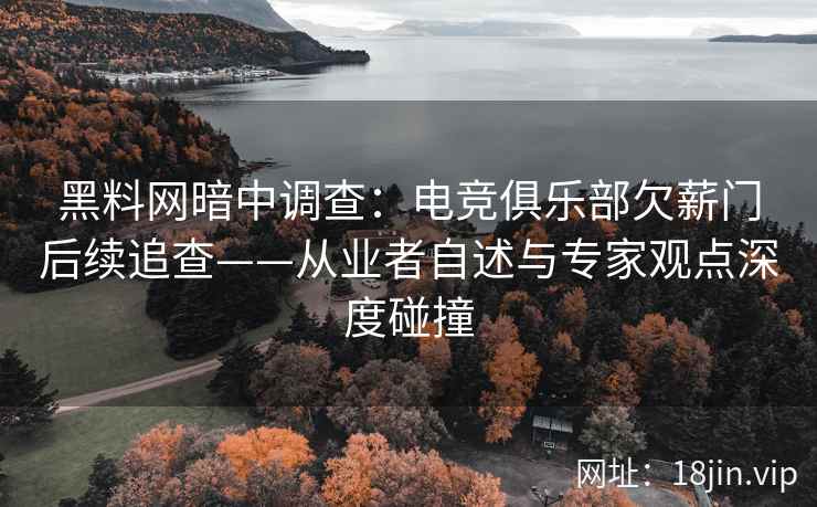 黑料网暗中调查：电竞俱乐部欠薪门后续追查——从业者自述与专家观点深度碰撞  第1张