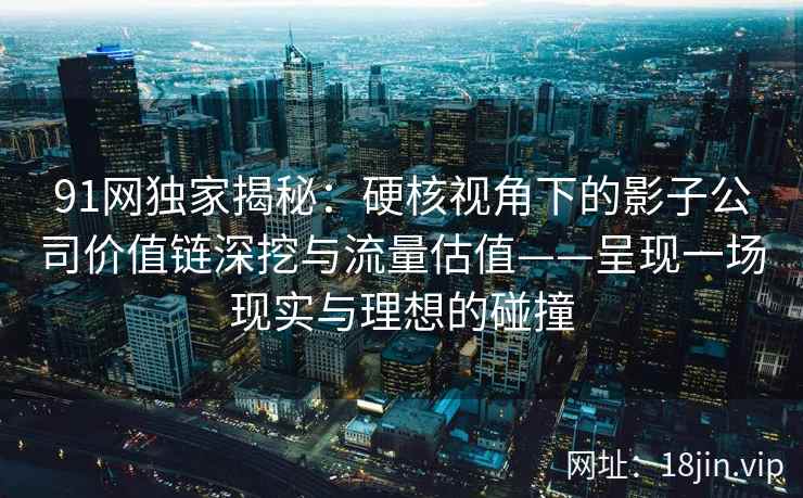 91网独家揭秘：硬核视角下的影子公司价值链深挖与流量估值——呈现一场现实与理想的碰撞  第2张