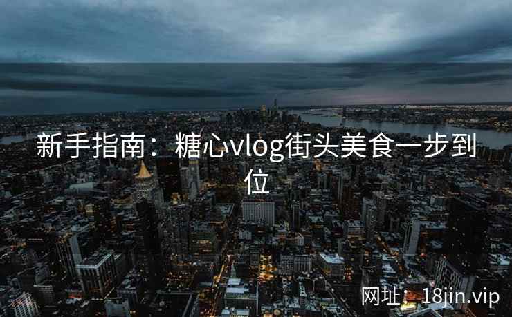 新手指南：糖心vlog街头美食一步到位