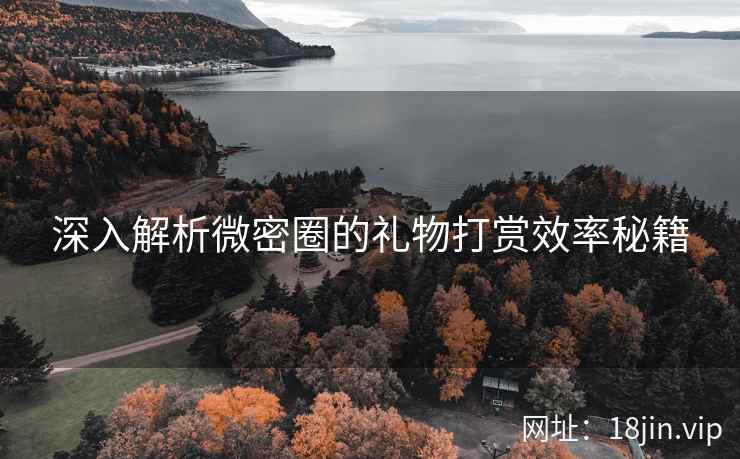 深入解析微密圈的礼物打赏效率秘籍