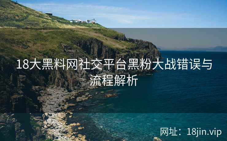 18大黑料网社交平台黑粉大战错误与流程解析  第2张