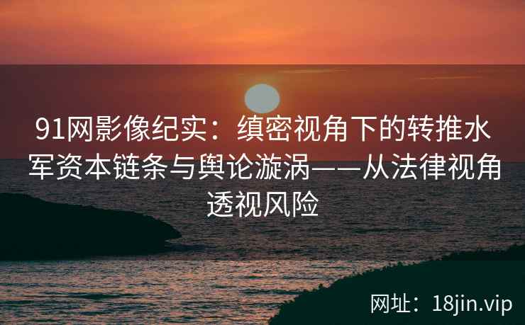 91网影像纪实：缜密视角下的转推水军资本链条与舆论漩涡——从法律视角透视风险  第1张