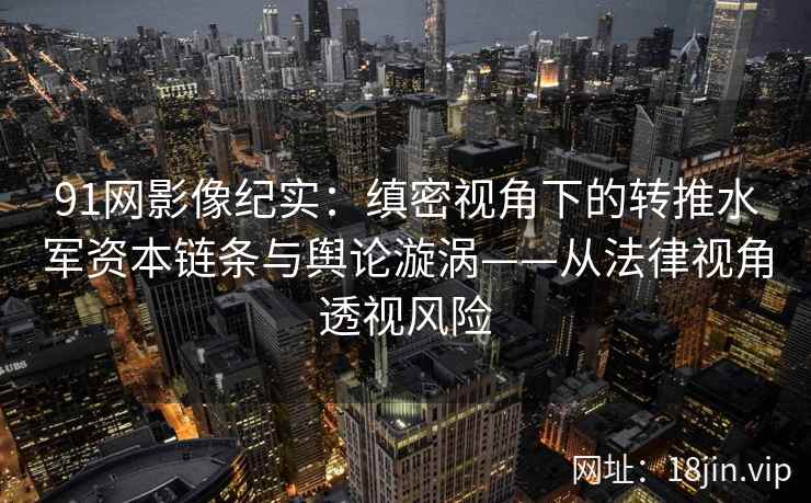91网影像纪实：缜密视角下的转推水军资本链条与舆论漩涡——从法律视角透视风险  第2张