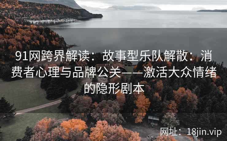 91网跨界解读：故事型乐队解散：消费者心理与品牌公关——激活大众情绪的隐形剧本  第1张