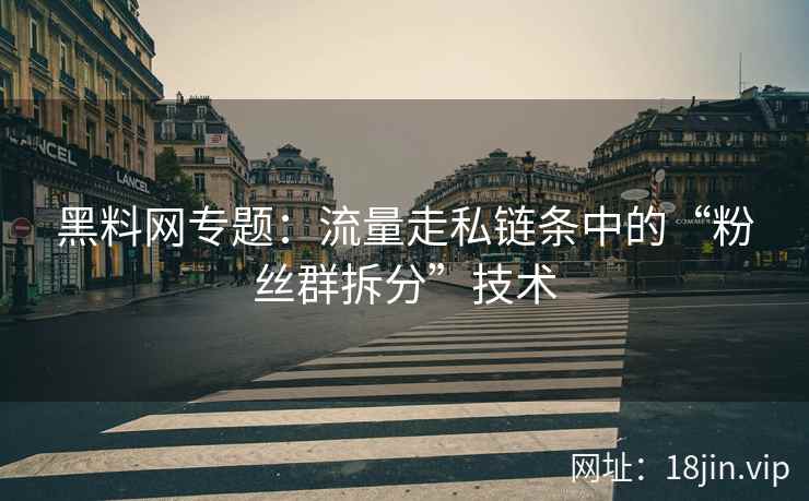 黑料网专题：流量走私链条中的“粉丝群拆分”技术  第1张