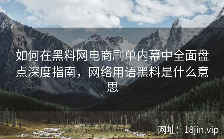 如何在黑料网电商刷单内幕中全面盘点深度指南，网络用语黑料是什么意思